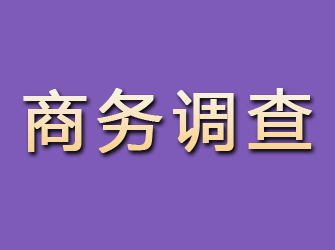 册亨商务调查